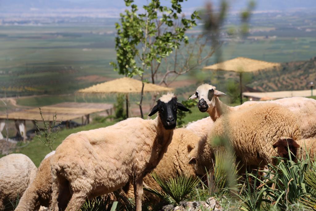 Dar El Mandar - Ferme & Table D'Hote Berbere Bhalil Екстер'єр фото